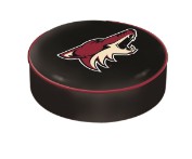 Arizona Coyotes