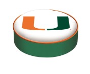 Miami Florida logo